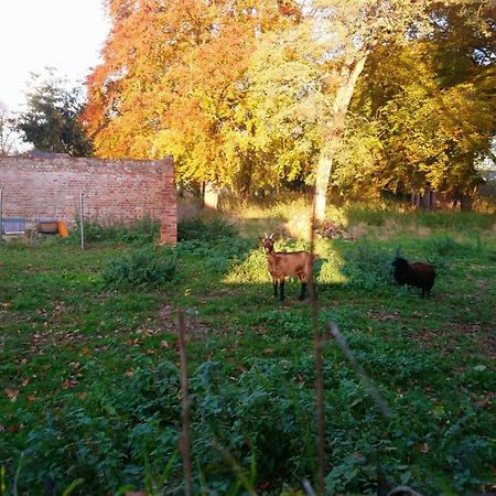 Готель Le Jardin Des Ecureuils Demuin Екстер'єр фото