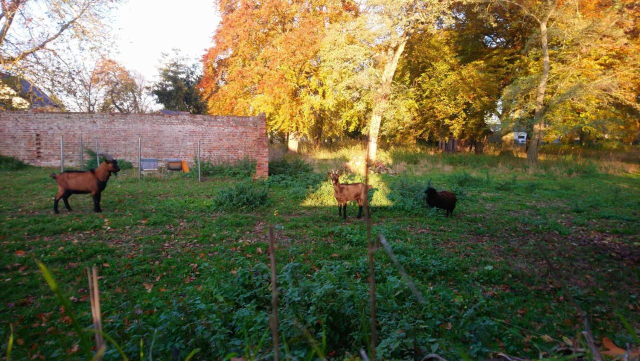 Готель Le Jardin Des Ecureuils Demuin Екстер'єр фото